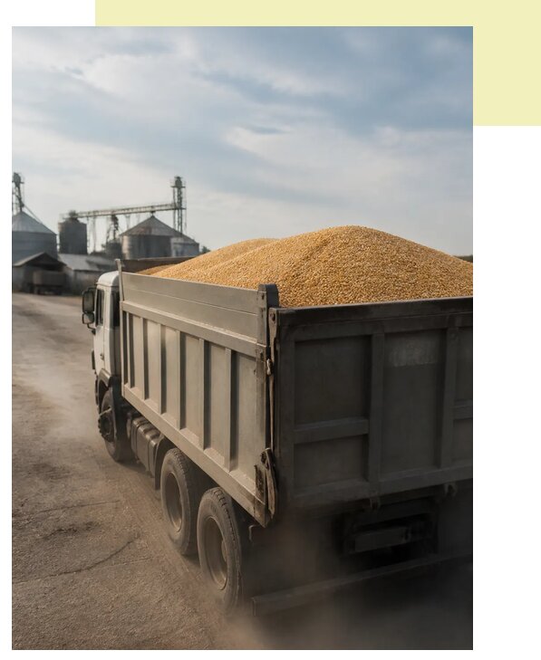 Перевозка сельхозпродукции навалом в Гуся-Хрустального по цене от 3209 р. | Агросервис-Гсь